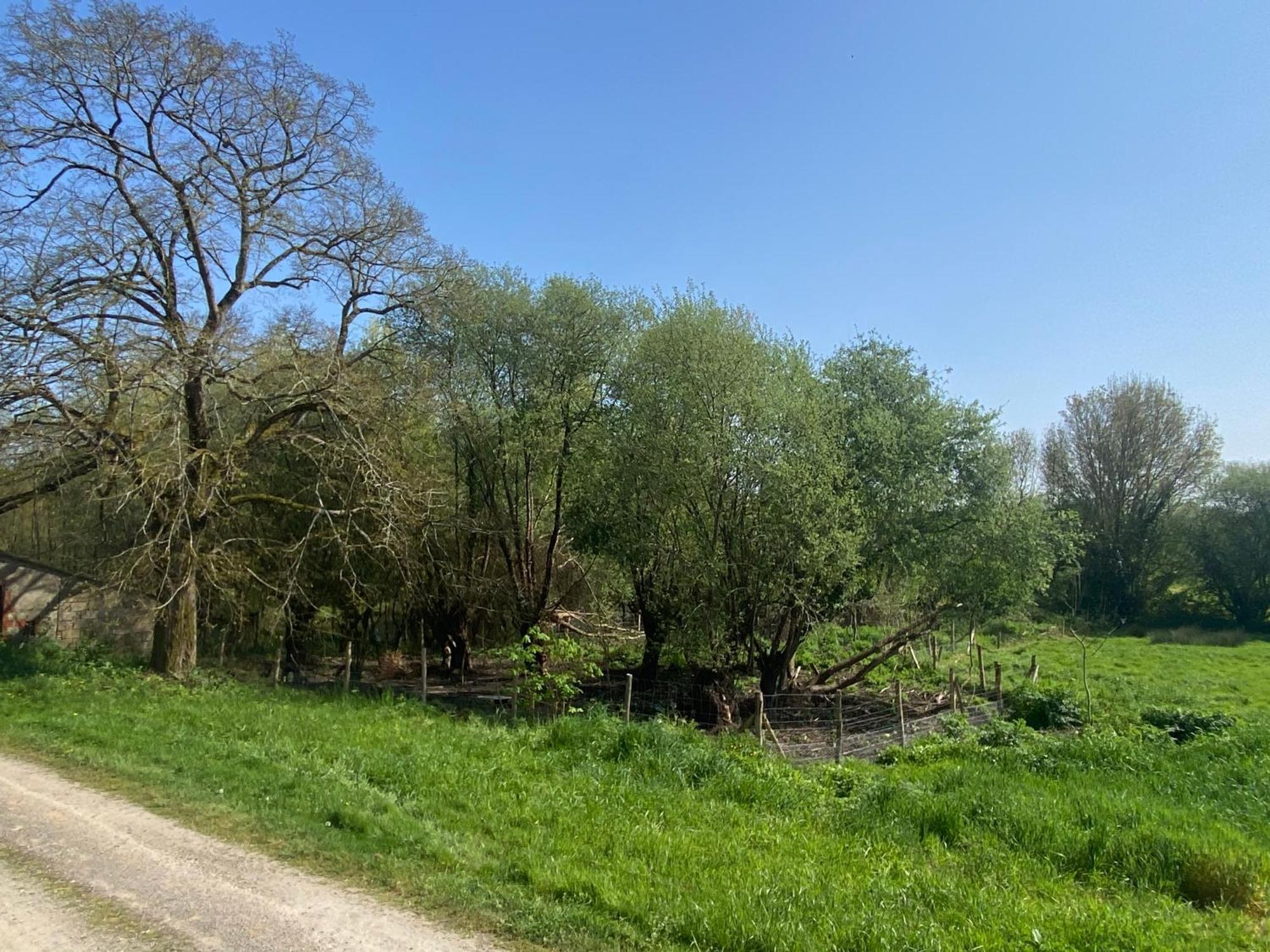 Le Colibri - Domaine De La Houblette Lägenhet Challans Exteriör bild